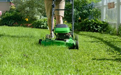 Lawn Care Is Taking All Your Time (Here’s How)